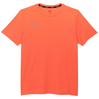 Puma Finisher