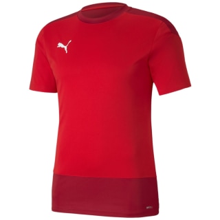 Puma TeamGOAL 23 Training Herren Trikot