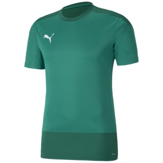 Puma TeamGOAL 23 Training Herren Trikot