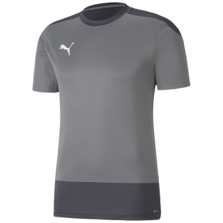 Puma TeamGOAL 23 Training Herren Trikot