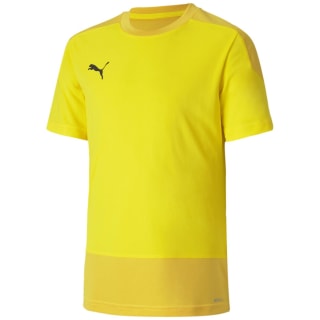 Puma TeamGOAL 23 Training Kinder Trikot