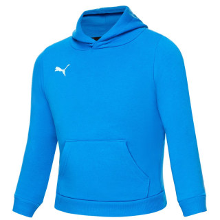 Puma TeamGOAL 23 Casuals Kinder Kapuzensweater