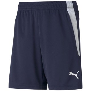Puma TeamLIGA Training Kinder Shorts