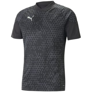 Puma TeamCUP Training Herren T-Shirt