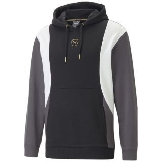 Puma KING Top Herren Kapuzensweater