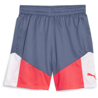 Puma IndividualCUP Herren Shorts