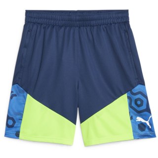 Puma IndividualCUP Herren Shorts