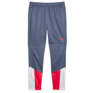 Puma IndividualCUP Training Herren Trainingshose