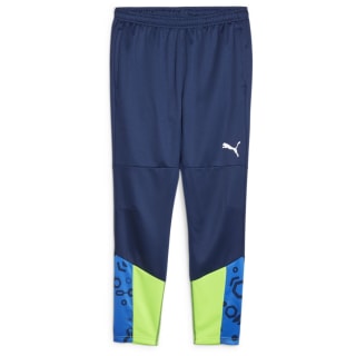 Puma IndividualCUP Training Herren Trainingshose