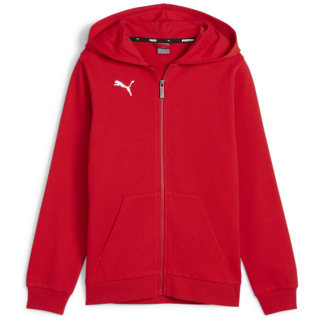 Puma teamGOAL Casuals Hooded Junior Jungen Sweatshirt