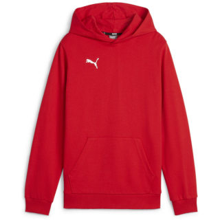 Puma teamGOAL Casuals Junior Jungen Pullover
