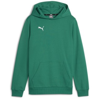 Puma teamGOAL Casuals Junior Jungen Pullover