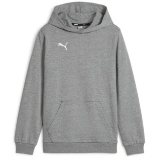 Puma teamGOAL Casuals Junior Jungen Pullover