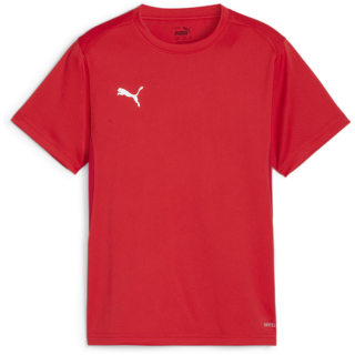 Puma teamGOAL Junior Jungen T-Shirt