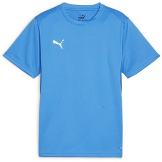Puma teamGOAL Junior Jungen T-Shirt