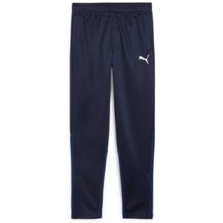 Puma teamGOAL Training Junior Jungen Sporthose