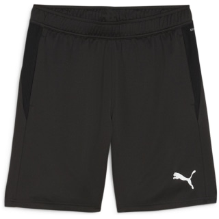 Puma teamGOAL Training Herren Shorts