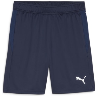 Puma teamGOAL Training Herren Shorts