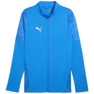 Puma teamCUP Training Herren Fußballjacke