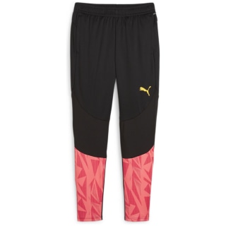 Puma individualFINAL FF. Training Herren Trainingshose