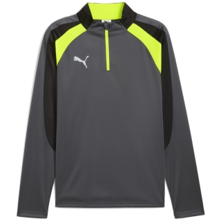 Puma IndividualLIGA 1/4 Zip