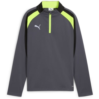 Puma IndividualLIGA 1/4 Zip