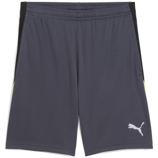 Puma IndividualLIGA Training 2 (open pockets)