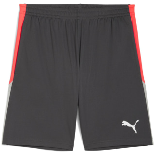 Puma IndividualLIGA Training 2 (open pockets) Puma IndividualLIGA Training 2 (open pockets)