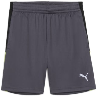 Puma IndividualLIGA Training 2 (open pockets)