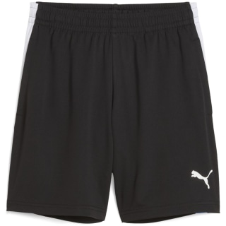 Puma IndividualLIGA Training 2 (open pockets)
