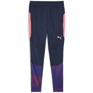 Puma individualFINAL Training