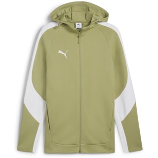 Puma teamEVOSTRIPE Hooded Herren Kapuzensweater