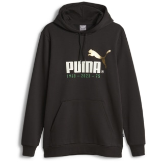 Puma No. 1 Logo Celebration FL Herren Kapuzensweater