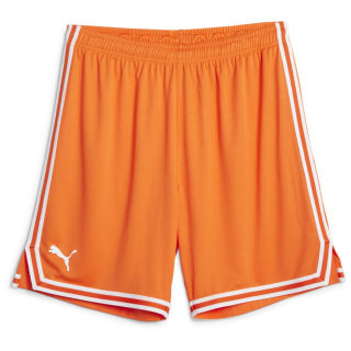Puma Hoops Team Game Herren Shorts