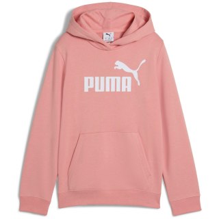 Puma ESS No. 1 Logo TR Mädchen Kapuzensweater