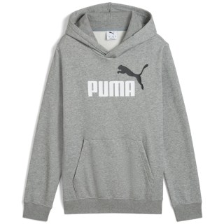 Puma ESS 2 Color No. 1 Logo FL Jungen Kapuzensweater