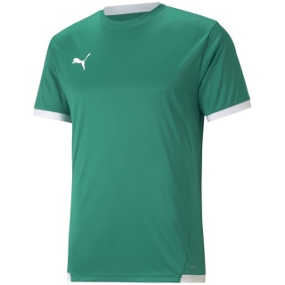 Puma TeamLIGA Herren Trikot