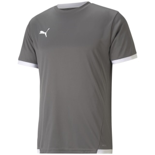 Puma TeamLIGA Herren Trikot