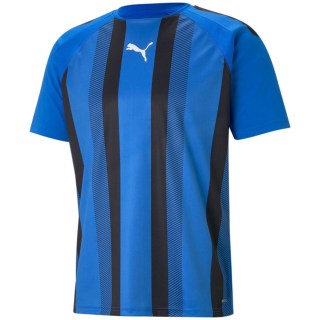 Puma TeamLIGA Striped Herren T-Shirt