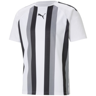 Puma TeamLIGA Striped Herren T-Shirt