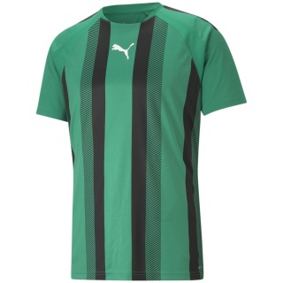 Puma TeamLIGA Striped Herren T-Shirt