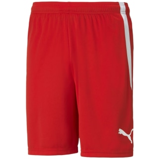 Puma TeamLIGA Herren Shorts