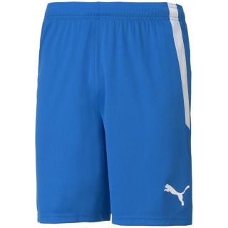 Puma TeamLIGA Herren Shorts