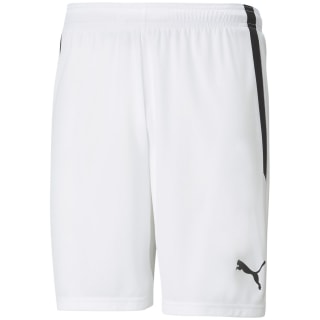 Puma TeamLIGA Herren Shorts