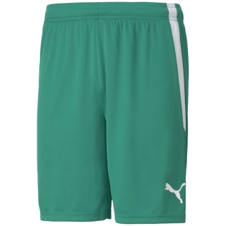 Puma TeamLIGA Herren Shorts