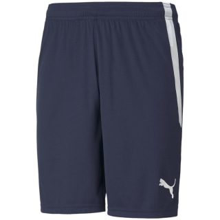 Puma TeamLIGA Herren Shorts