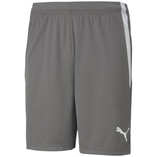 Puma TeamLIGA Herren Shorts