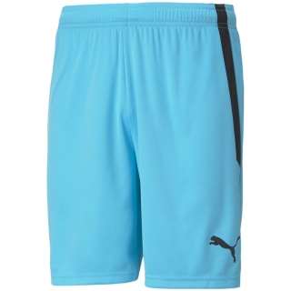 Puma TeamLIGA Herren Shorts
