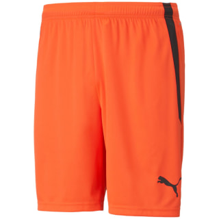 Puma TeamLIGA Herren Shorts