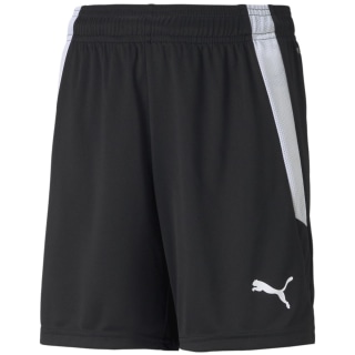 Puma TeamLIGA Kinder Shorts